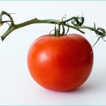 Tomate, Foto: Leilani Angel/ Unsplash